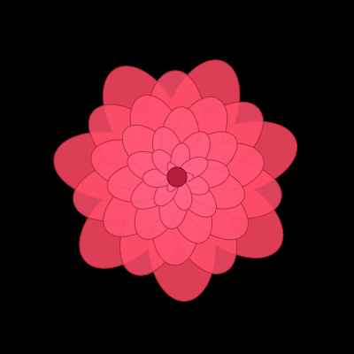 Chrysanthemum