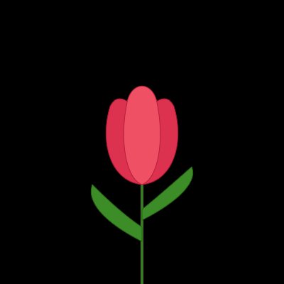 Tulip